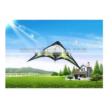 Dual Line Delta Stunt Kites - Curved Edge Kites