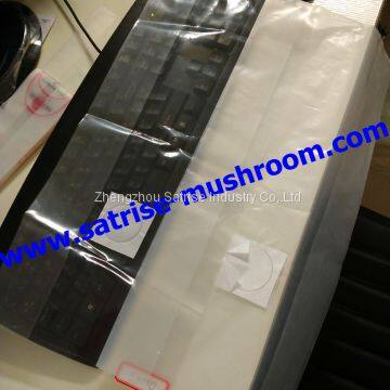 Mushroom Spawn Bag Grow Mushrooms From Spores Shiitake Growing Spawn photo-3