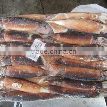 Frozen Squid /Illex Squid /Argentine Squid photo-3