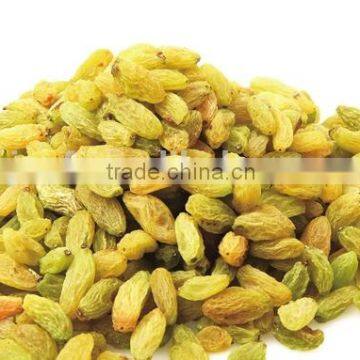 Raisin, Xinjiang Origin Raisin, Green Raisin, All Kinds of Raisins photo-2