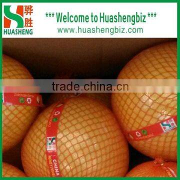 Fresh Pomelo/Chinese Pomelo Fruit/Pomelo Prices photo-5