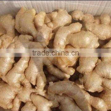 Air Dry Ginger 200g, 250g