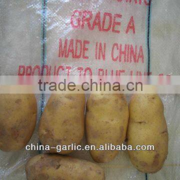 Wholesale Potatoes for sales