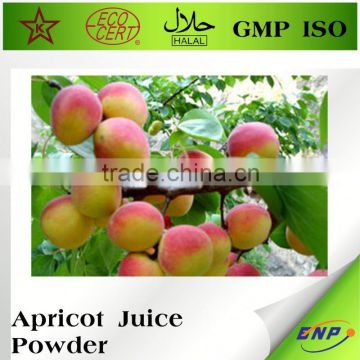 Apricot Fruit Juice Powder