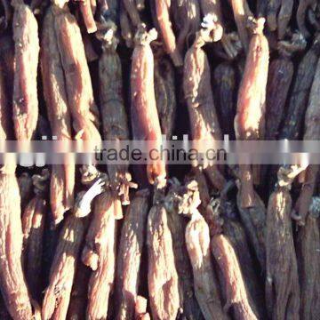 Dried Ginseng