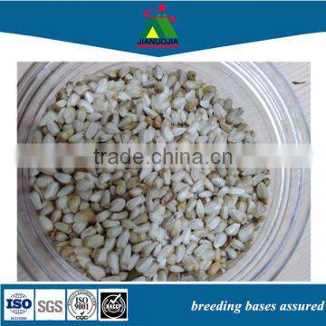 bird feed bulk safflower seed