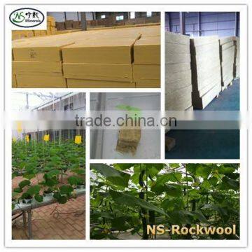 Rockwool Cubes for Hydroponics and Aeroponics photo-4