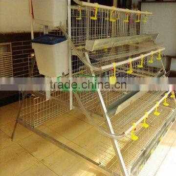 layer poultry cage for laying egg chicken/broiler chicken