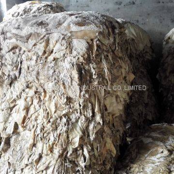 wet salted cattle hide split