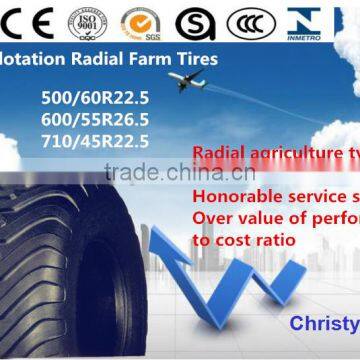 Big AGR Radial tractor Type 710/45R22.5 IMP for farm tyre
