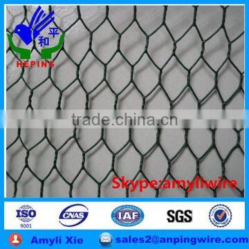 galvanized chicken wire and pvc coated chicken wire netting from China top supplier