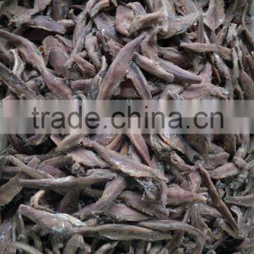 Italy Processing Way Salted Anchovy Fillets photo-5