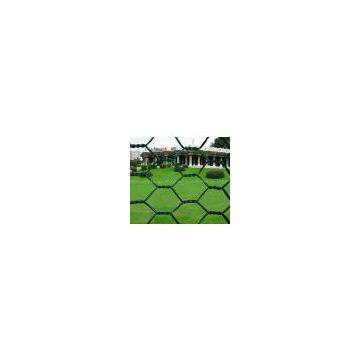 Hexagonal Wire Netting