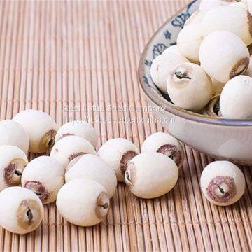 Lotus Seed Lotus Nut Lotus Kernel Dried Grinding White Lotus Seed With Core Plumule photo-2