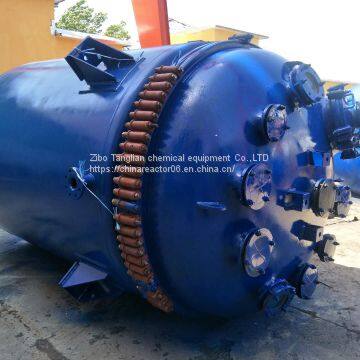 Glass Lined Reactor photo-4