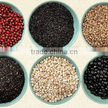 Full Automatic Grinding Machine photo-4