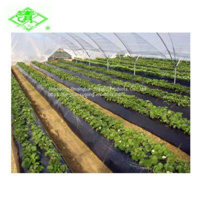 Agriculture and Gardening Use Plastic Black Mulch Film photo-3