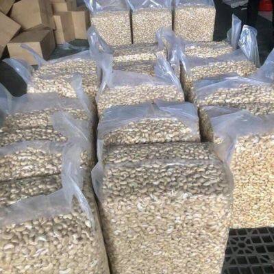 Whole Size W320 W240 Jumbo Size 100% White Cashew Nut Good Quality