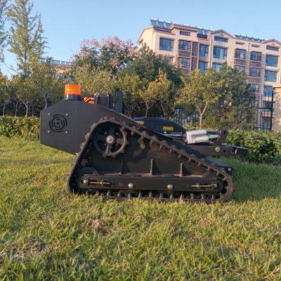 Cordless Grass Trimmer for Sale photo-5