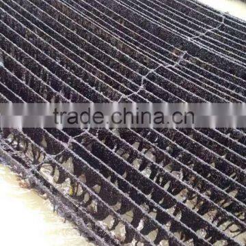 100% Natural Food Grade Porphyra Flakes, Laver Nori Seaweed photo-5