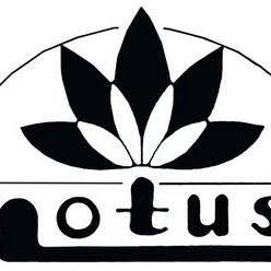 Qingdao Lotus International Trading co.,ltd