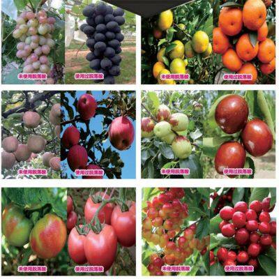 Factory Price Auxin S-abscisic Acid S-ABA 90%TC Plant Growth Regulator photo-2