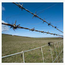 Factory Supply 500 Meters Galvanized Steel Barbed Wire Per Roll for Farm Mountain Prison Wall Protection photo-5