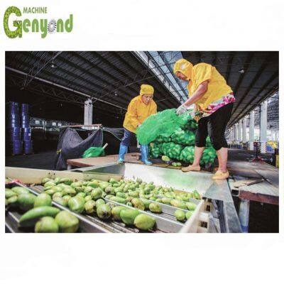 Шанхайский завод, полный комплект малой производительности для обработки мангового пюре
