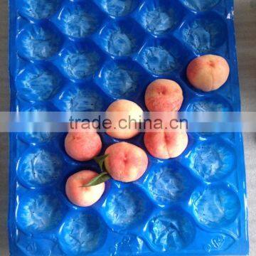 39x59cm Plastic Insert Tray For Round Fruit