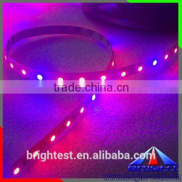 Infrared Light Growing plants,Led Super Plant,Led Light Manufacturing Plant