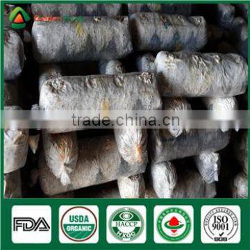 China High Yield Organic Shiitake Mushroom Log Spawn Bag Growing Kit photo-4