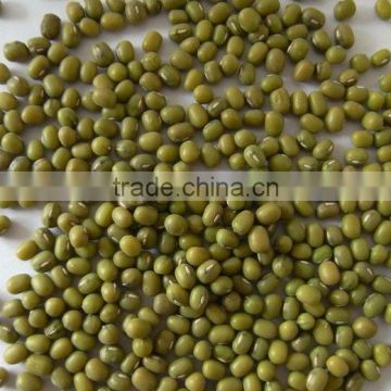 green mung beans