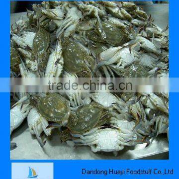 Frozen blue crab seafood