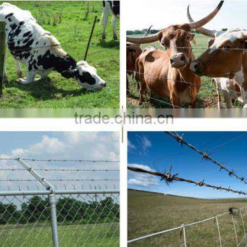 China Manufacturer Wholesale Cheap Barbed Wire , Pvc Coated Barbed Wire Price per Roll , Low Price Barbed Wire Roll Fence photo-3