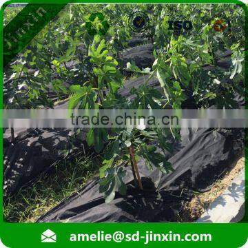 Eco Friendly pp Spunbond Non Woven Weed Control Mat Polypropylene Ground Cover photo-4