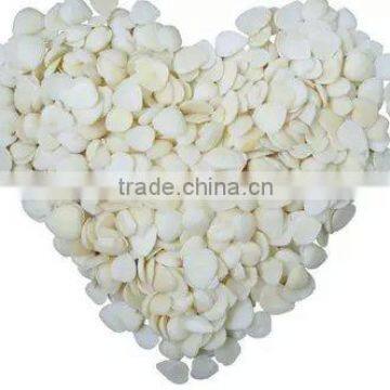 Blanched Apricot Kernels photo-4