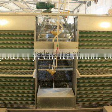 Best prices chicken breeding cage for sale