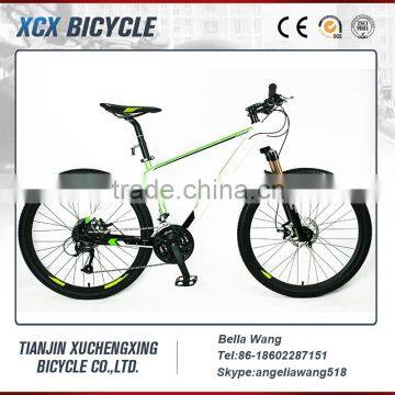 GT Bicycle Mountain Bike