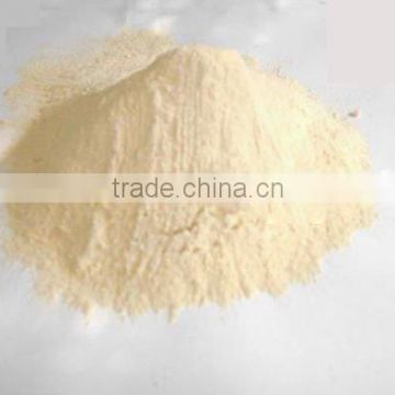 new crop dehydrated yellow onion powder