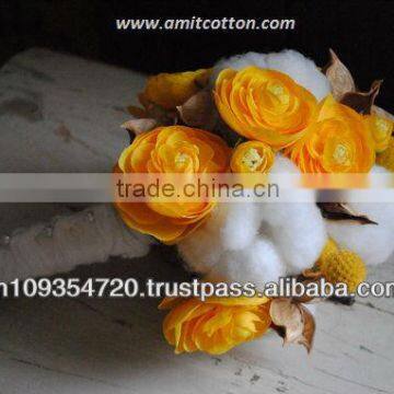 Best Quality Raw Cotton