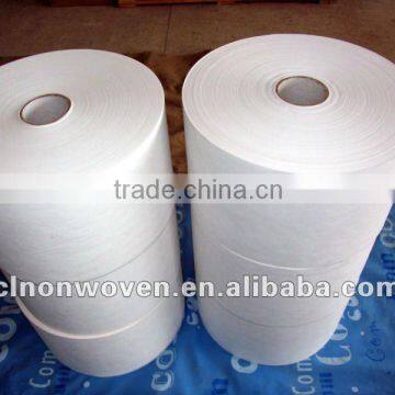 Polyester Spunbond Nonwoven Fabric