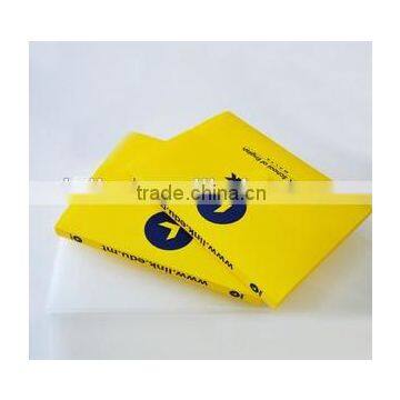 Custom plastic pvc file folder,A3 folder