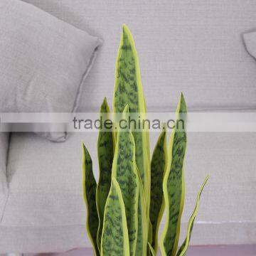 Yiwu Cheap Artificial Sansevieria Plant Tree for Home Decoration Factory Wholesale photo-4
