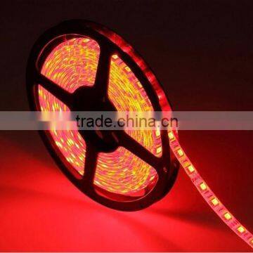 RGB 5050 60LED smd led strip waterproof