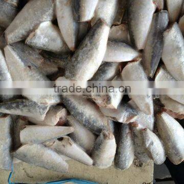 HGT Horse Mackerel Frozen Fish