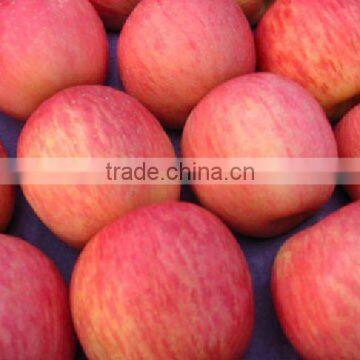 fuji apple in paper bag for exporting in 2014