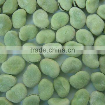 IQF frozen broad bean