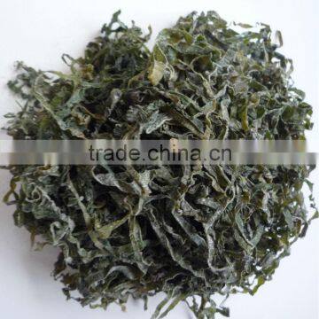 New type of machine dried sea algae cut (dried salted cut kelp)