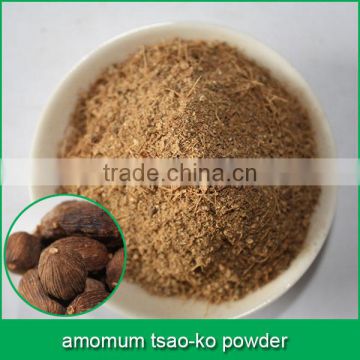 amomum tsao-ko powder