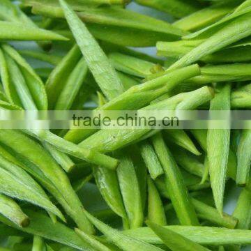 High-quality Green Tea Extract Camellia Sinensis With Tea Polyphenols 98% and EGCG 80% photo-2